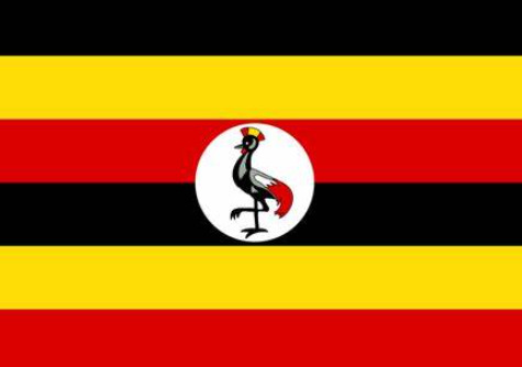 Uganda national cricket team